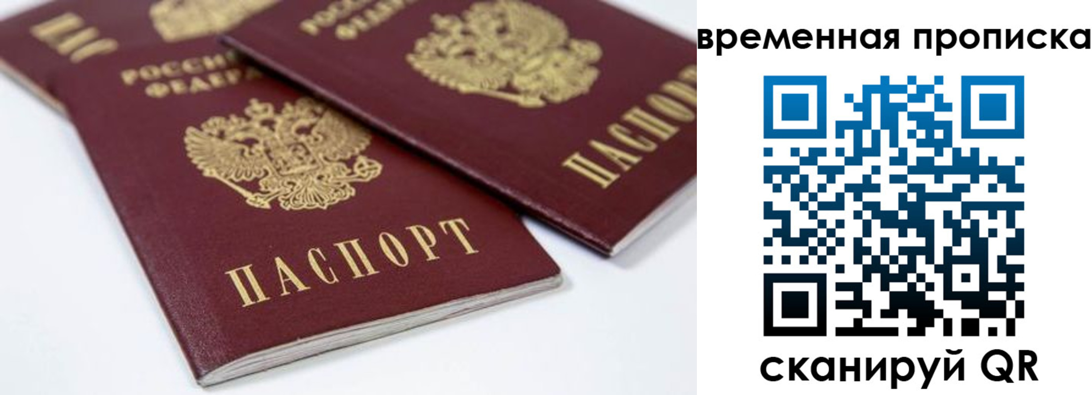прописка для школы в Нижнем Новгороде